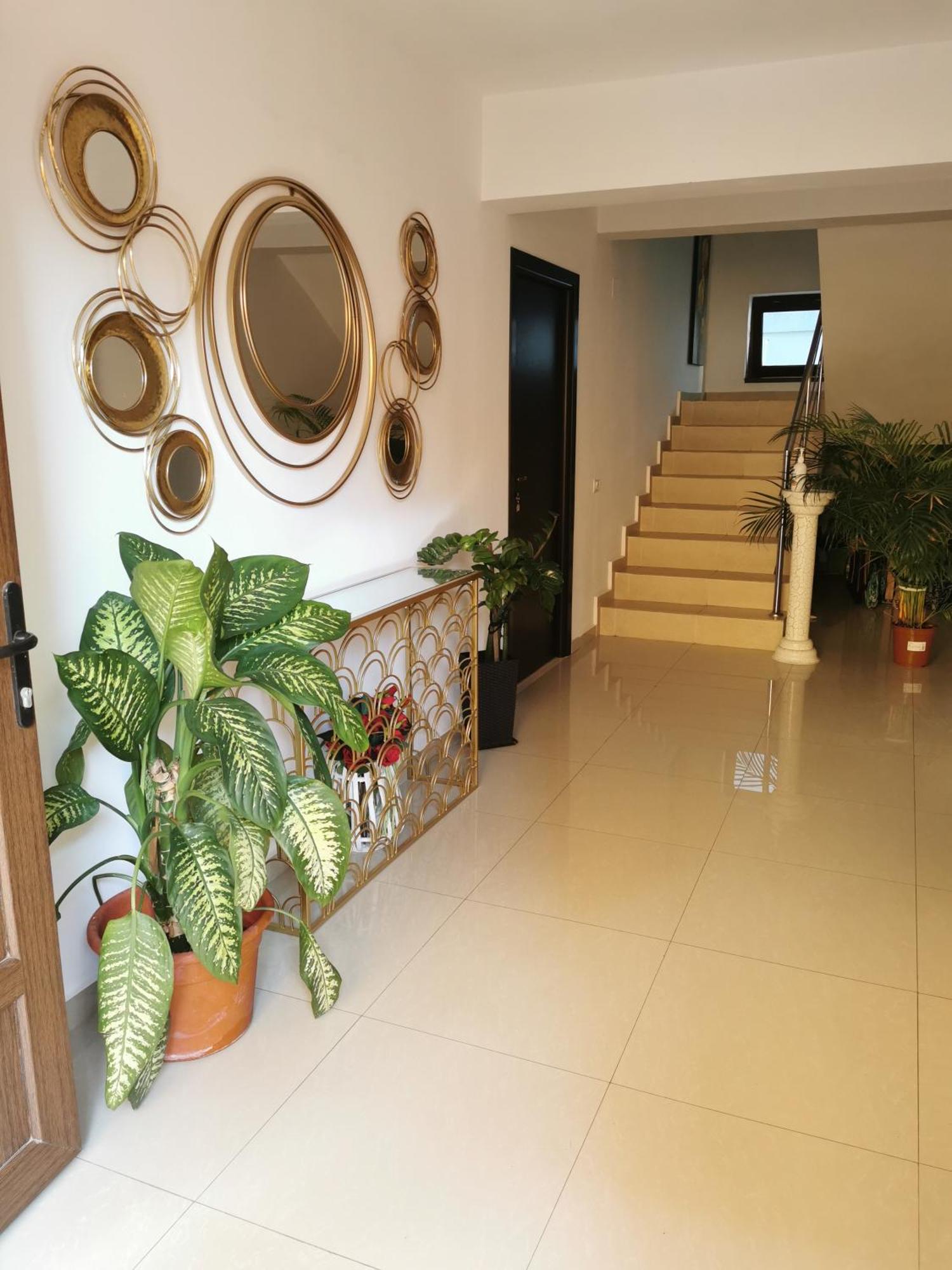 فندق Elegance كوستِنيست المظهر الخارجي الصورة