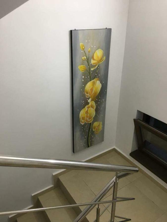فندق Elegance كوستِنيست المظهر الخارجي الصورة